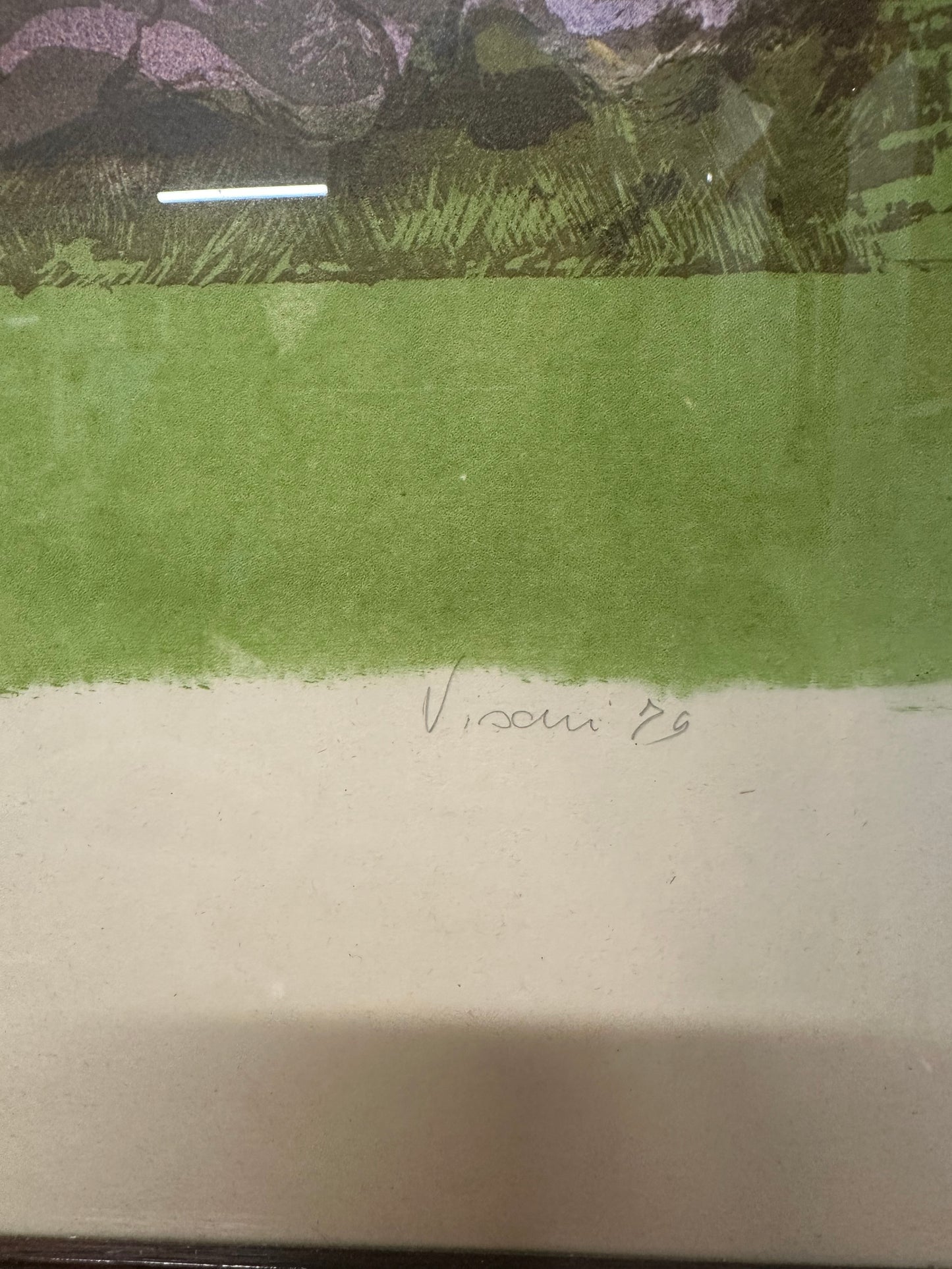 Litografia visani
